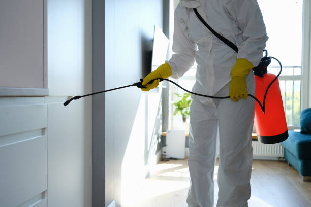 Best Industrial Mold Remediation in Santa Clara, CA