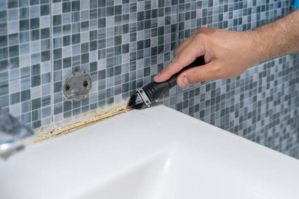 Trusted Santa Clara, CA Mold Remediation Experts
